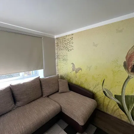 Hubane Korter Aedlinnas Apartment Parnu